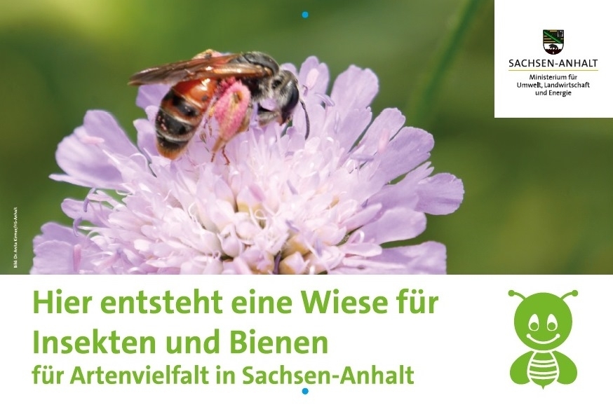 Insektenwiese Aktionsschild